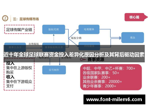 近十年全球足球联赛资金投入差异化原因分析及其背后驱动因素